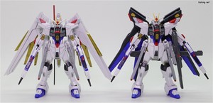 Club G Strike Freedom Gundam Type 2 & Wing of Light Effect Set - HGCE 마이티 스트라이크 프리덤 건담과 함께. 본체는 완전히 동일합니다.