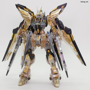 Club G Strike Freedom Gundam [Mechanical Clear] - 다양한 각도에서 본 모습 (1/6)
