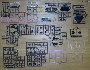 Dunbine HG Tod Dunbine - Runner