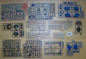 HG Challia's Rick Dom (GQ) - Runner