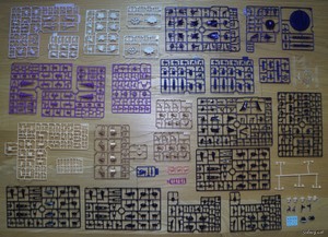 Arca Nadea Gii - Runner