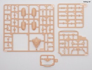 Frame Arms Girl Druga <Gold Ritter> - Runner (9/12)