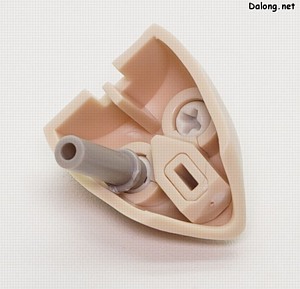 Megalomaria Zirconia - 눈동자는 얼굴 뒤에서 방향을 조정할 수 있습니다.