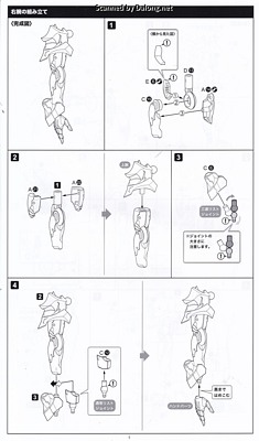 Megalomaria Zirconia - Manual (9/16)