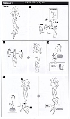 Megalomaria Zirconia - Manual (10/16)