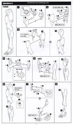Megalomaria Zirconia - Manual (12/16)