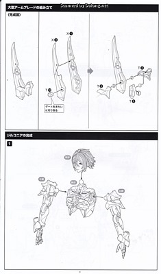 Megalomaria Zirconia - Manual (13/16)