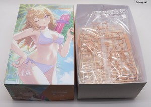 Sousaishojoteien Seira Ichijo [Swim Style] Hair Arrange Ver. - Box Open