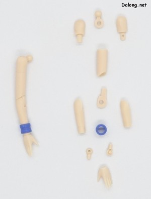 Sousaishojoteien Seira Ichijo [Cheerleading Costume] - Parts (3/5)