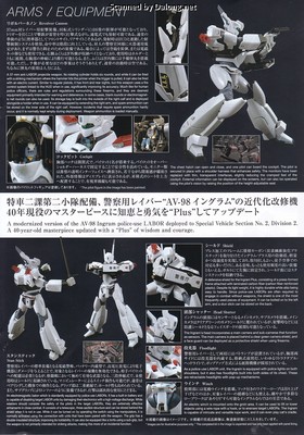 RG Ingram Plus - Manual (11/20)